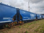 RUMO HTT-065663-1
